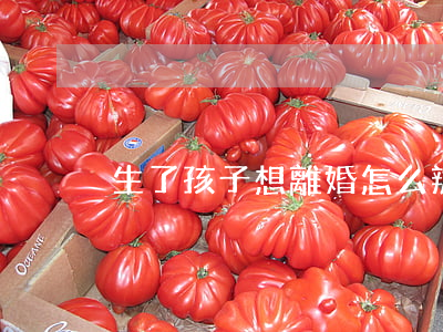 生了孩子想離婚怎么辦