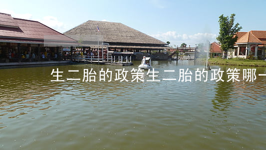 生二胎的政策(生二胎的政策哪一年出臺的)
