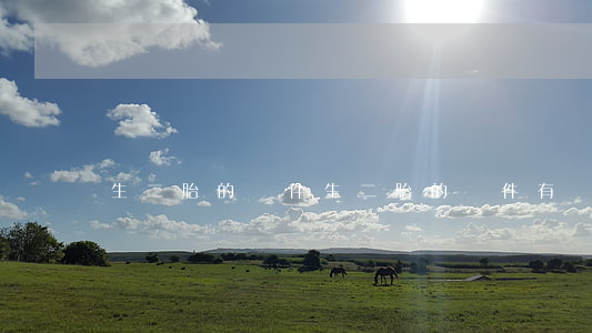 生二胎的條件(生二胎的條件 有錢)