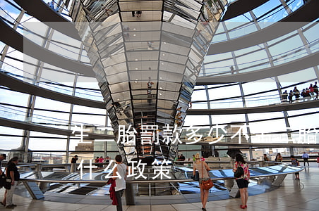 生二胎罰款多少(不生二胎罰款5000這是什么政策)