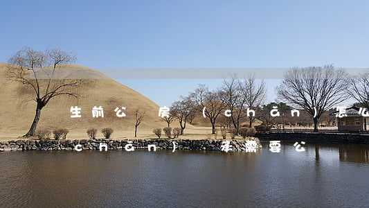 生前公證房產(chǎn)怎么繼承(房產(chǎn)繼承需要公證嗎?)