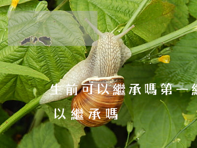 生前可以繼承嗎(第一繼承人去世他的子女可以繼承嗎)