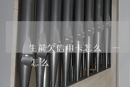 生前欠信用卡怎么辦(一個人生前信用卡不還怎么辦)