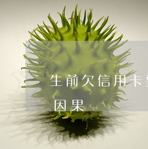 生前欠信用卡要還嗎(生前欠債不還會有什么因果)
