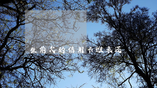 生前欠的信用卡谁来还