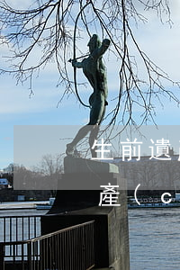 生前遺產(chǎn)繼承書怎么寫(繼承房產(chǎn)遺囑怎么寫)
