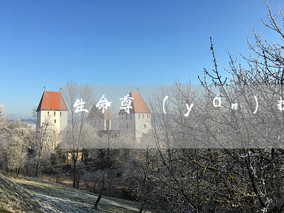 生命尊嚴(yán)提前給付附加條款