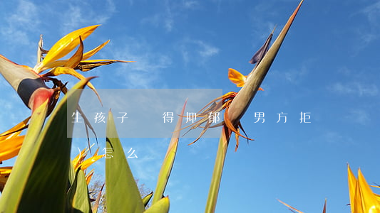 生孩子還得抑郁癥，男方拒絕撫養(yǎng)怎么辦