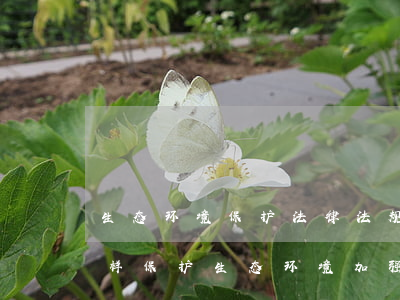 生态环境保护法律法规和生态文明建设(怎样保护生态环境,加强生态文明建设)