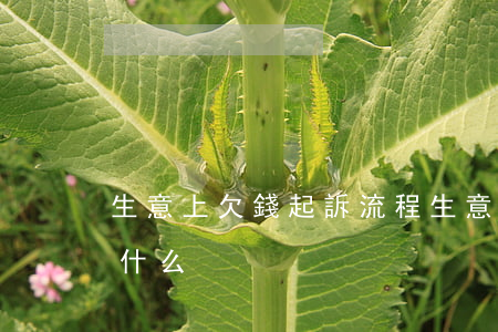 生意上欠錢起訴流程(生意上欠錢起訴流程是什么)
