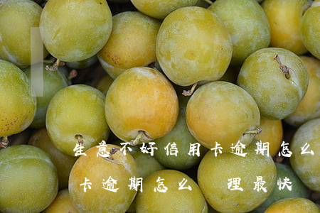 生意不好信用卡逾期怎么處理(生意不好信用卡逾期怎么處理最快)