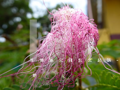 生意拖欠錢怎么起訴-生意拖欠錢怎么起訴他