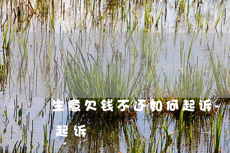 生意欠钱不还如何起诉-生意欠钱不还如何起诉