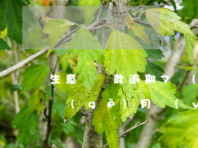生意紅貸款逾期7個(gè)月(貸款逾期七個(gè)月嚴(yán)重嗎)