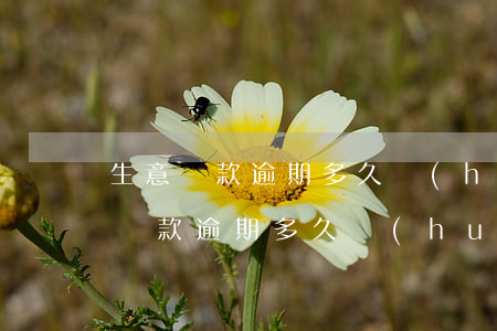 生意貨款逾期多久會(huì)被起訴 銀行貸款逾期多久會(huì)被起訴