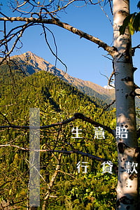 生意賠了貸款還不起(做生意賠本無力償還銀行貸款)