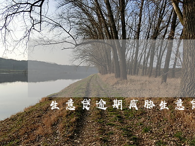 生意贷逾期威胁(生意贷逾期威胁怎么办)