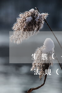 生態(tài)環(huán)境保護法律法規(guī)和生態(tài)文明建設(怎樣保護生態(tài)環(huán)境,加強生態(tài)文明建設)