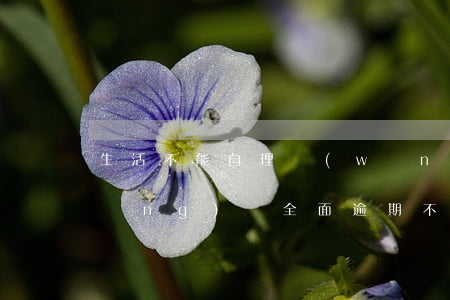 生活不能自理網(wǎng)貸逾期(網(wǎng)貸全面逾期不想活了)