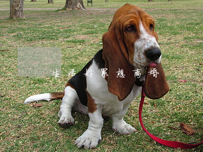 生活好累想离婚
