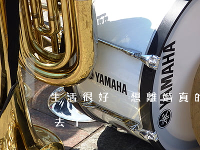 生活很好卻想離婚(真的好想離婚,實在過不下去了)