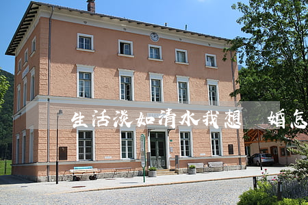 生活淡如清水我想離婚怎么辦