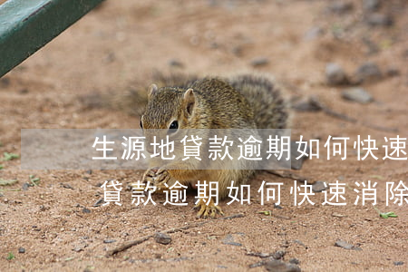 生源地貸款逾期,如何快速消除征信-生源地貸款逾期,如何快速消除征信記錄