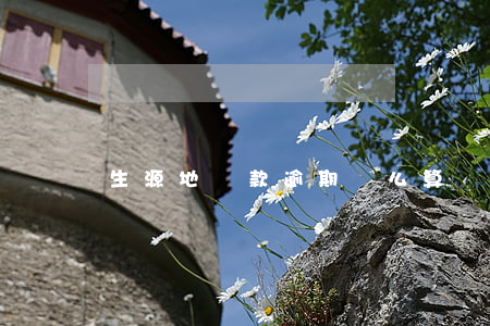 生源地貸款逾期這么算