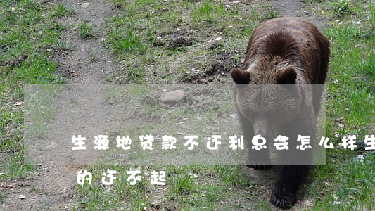 生源地贷款不还利息会怎么样（生源地贷款真的还不起）