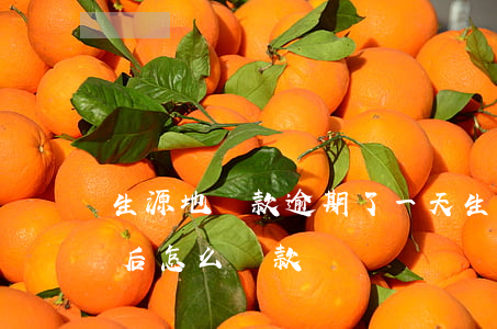 生源地還款逾期了一天(生源地貸款逾期還款后怎么還款)