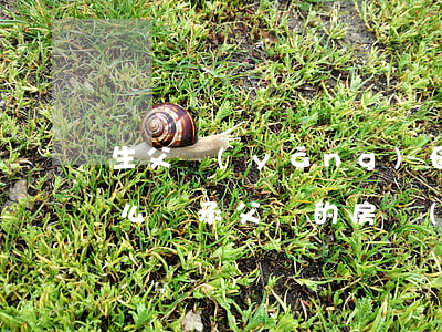 生父養(yǎng)母房產(chǎn)怎么繼承(父親的房產(chǎn)子女怎樣繼承)