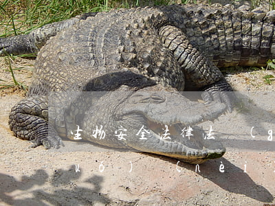 生物安全法律法規(guī)課件(國(guó)內(nèi)實(shí)驗(yàn)室生物安全相關(guān)法律法規(guī)有哪些)