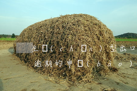 生產(chǎn)型出口企業(yè)出口逾期的申報(bào)-生產(chǎn)型出口企業(yè)出口逾期的申報(bào)流程