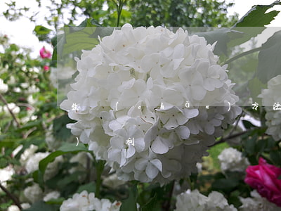 生產(chǎn)方法如何申請(qǐng)專利