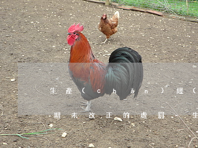 生產(chǎn)經(jīng)營單位逾期未改正的處罰-生產(chǎn)經(jīng)營單位逾期未改正的處罰標(biāo)準(zhǔn)