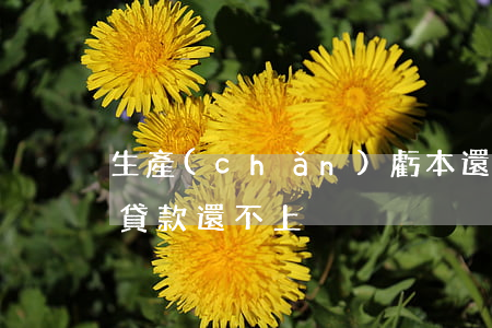 生產(chǎn)虧本還不起貸款 生意賠了貸款還不上