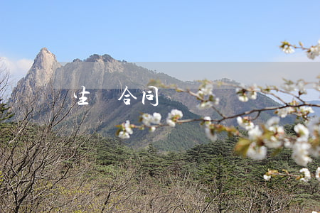 生產合同