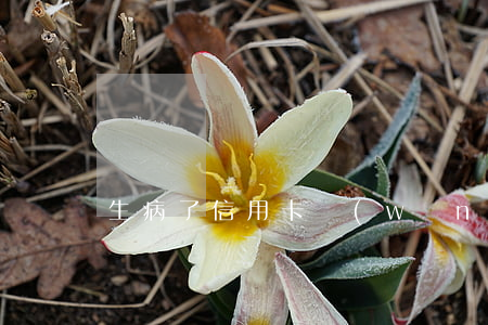 生病了信用卡網(wǎng)貸即將逾期