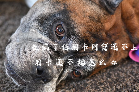 生病了信用卡网贷还不上怎么办-生病了信用卡还不起怎么办