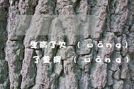 生病了欠網(wǎng)貸還不上怎么辦(得了重病網(wǎng)貸還不上應(yīng)該怎么辦)