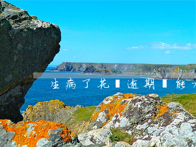 生病了花唄逾期沒能力償還咋辦-