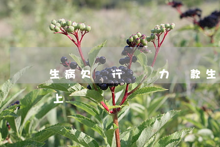 生病欠銀行錢無力還款(生病了欠銀行的還不上)