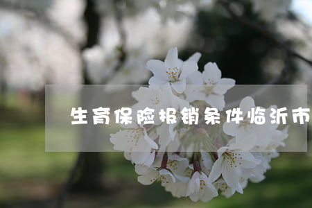 生育保险报销条件(临沂市生育保险报销条件)