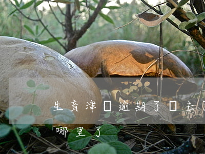 生育津貼逾期了錢去了哪里(生育津貼到賬到哪里了)