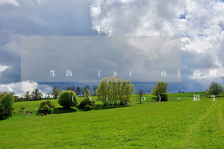 生育險(xiǎn)逾期如何報(bào)銷(xiāo)-超生生育險(xiǎn)怎么報(bào)銷(xiāo)