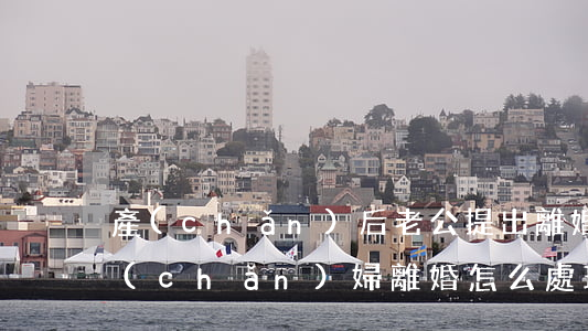 產(chǎn)后老公提出離婚該怎么辦(產(chǎn)婦離婚怎么處理)