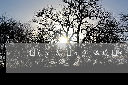 產(chǎn)品授權(quán)書范本