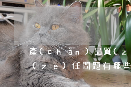 產(chǎn)品質(zhì)量的舉證責(zé)任問題有哪些