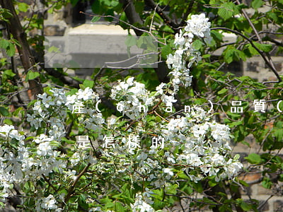 產(chǎn)品質(zhì)量管理方法是怎樣的
