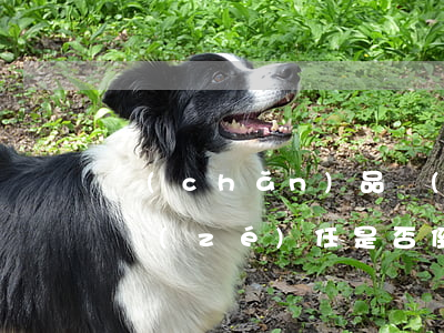 產(chǎn)品質(zhì)量糾紛舉證責(zé)任是否倒置